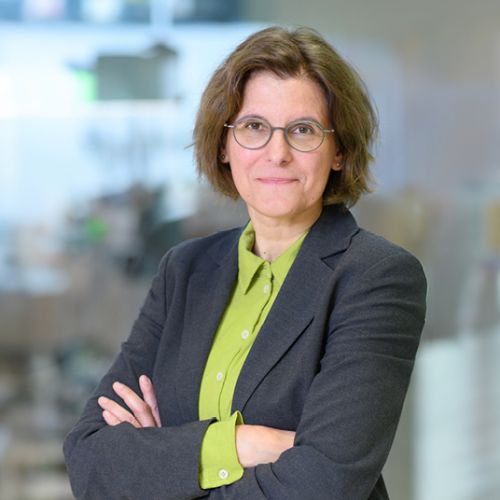 Prof. Dr. Irene Bertschek